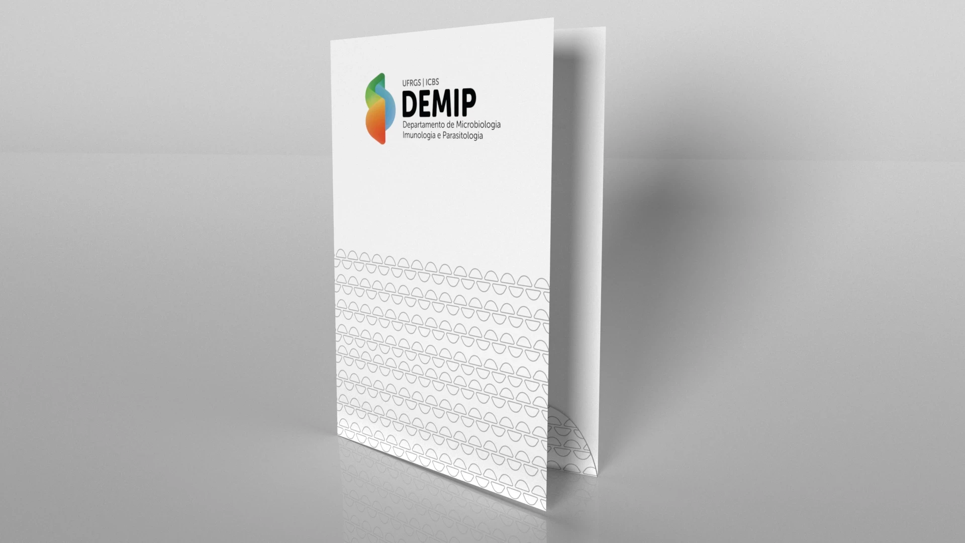 DEMIP - imagem 71